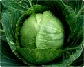 face-veg-img