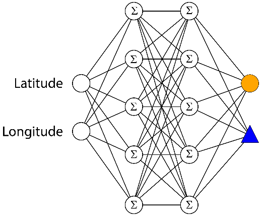 neural network